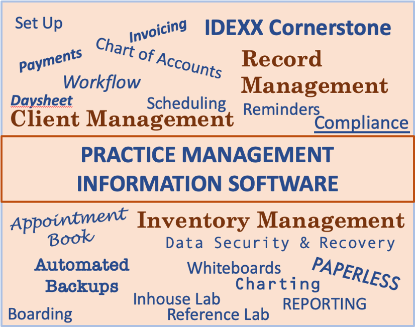 Tye Consulting Partners IDEXX Cornerstone Support Client Management, Record Management, Inventory Management